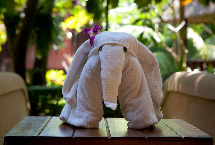 слон из полотенца