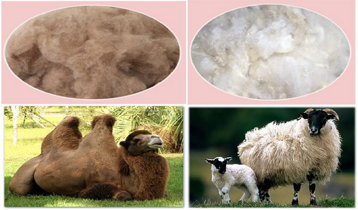 верблюжья овечья шерсть наполнители для подушек