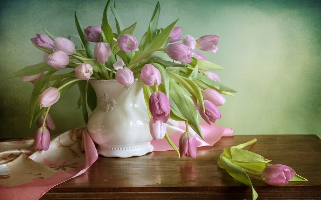 9 советов по уходу за тюльпана